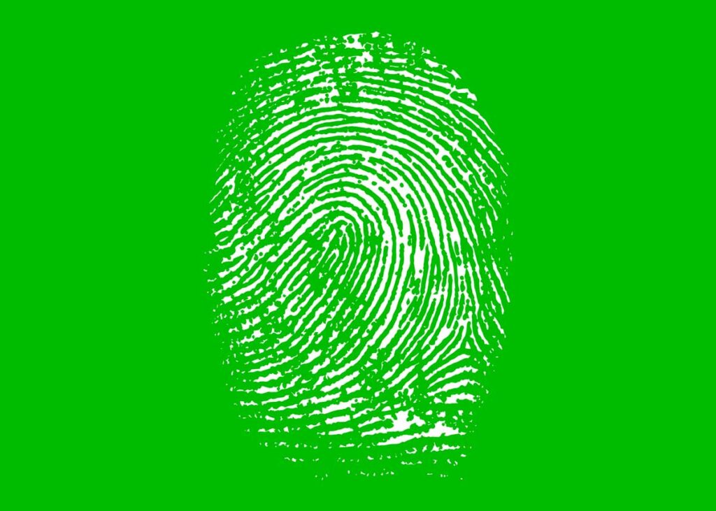 Photo of a fingerprint identity.